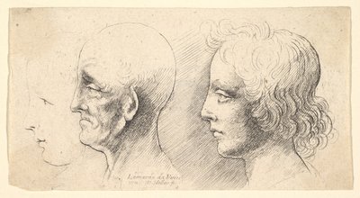 Tre teste di profilo, una solo in contorno, 1625-77 da Wenceslaus Hollar