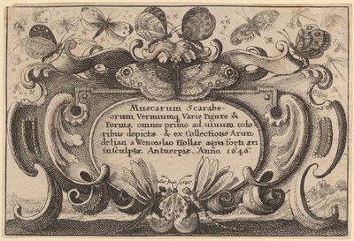 Pagina del Titolo da Wenceslaus Hollar