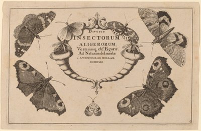 Pagina del Titolo da Wenceslaus Hollar