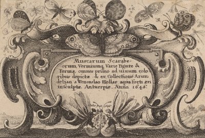 Pagina del titolo, 1646 da Wenceslaus Hollar