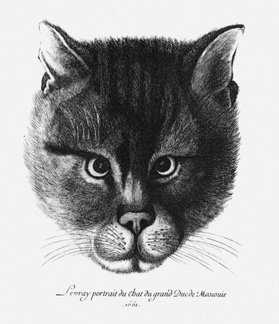 Vera immagine del gatto dello zar Alessio I Michajlovič di Russia da Wenceslaus Hollar