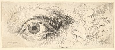 Due occhi e due teste, 1644-52 da Wenceslaus Hollar