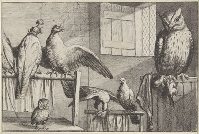 Falchi e gufi in un fienile da Wenceslaus Hollar
