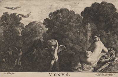 Venere da Wenceslaus Hollar