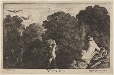 Venere da Wenceslaus Hollar