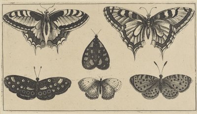 Cinque farfalle e una falena (serie Vari insetti) da Wenceslaus Hollar