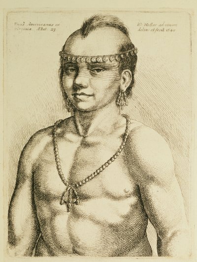 Indiano Virginiano da 