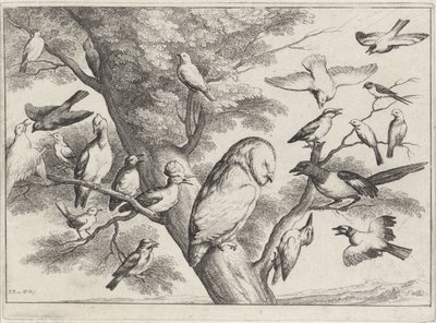 Uccelli su un albero (serie Verschillende vogels) da Wenceslaus Hollar