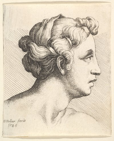 Donna con una ciocca di capelli legata in profilo a destra da Wenceslaus Hollar