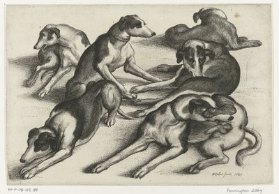 Sei cani da caccia sdraiati da Wenceslaus Hollar