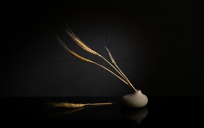  da Wendy Xu