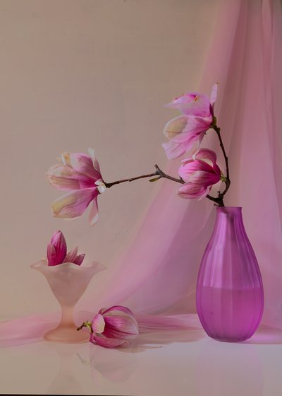  da Wendy Xu