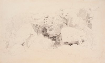 Scaglie di pietra nella foresta da Werner Holmberg