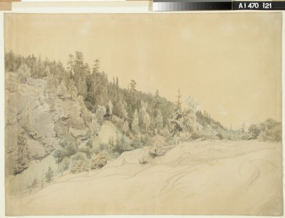 Paesaggio da Werner Holmberg