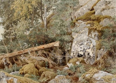 Roccia muschiata nella foresta da Werner Holmberg