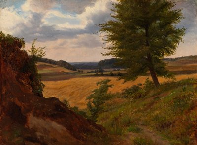 Albero in paesaggio di campagna, studio da Werner Holmberg