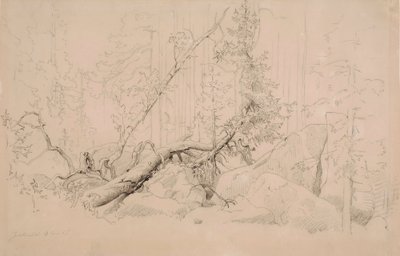  da Werner Holmberg