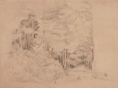 Senza titolo da Werner Holmberg