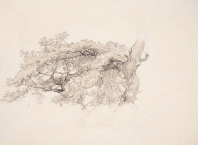  da Werner Holmberg