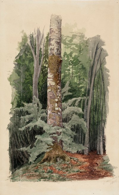  da Werner Holmberg