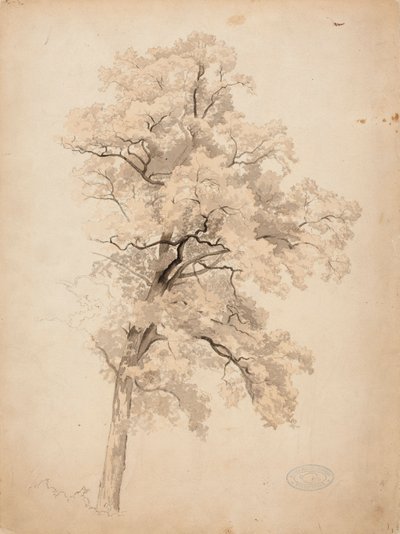  da Werner Holmberg