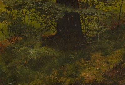 Senza titolo da Werner Holmberg