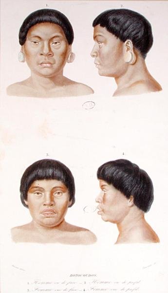 Studio antropometrico di due indiani Botocudos, inciso da Fournier, metà XIX secolo (litografia a colori) da Werner Werner