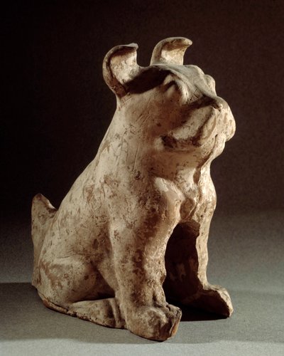 Arte cinese: molosso in terracotta da Western Han Dynasty Chinese School