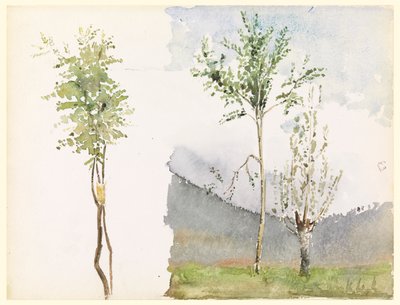 Schizzi di paesaggi da Whitney Warren Jr.