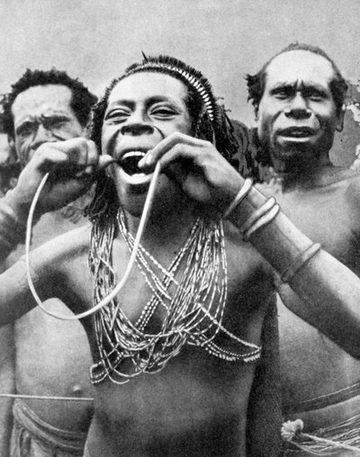 Ingestione di canne in un rituale cerimoniale, Nuova Guinea da Wide World Photos