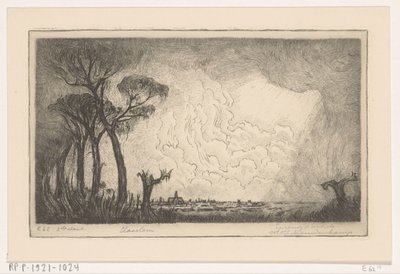 Veduta di Haarlem da Wijnand Otto Jan Nieuwenkamp (signed by artist)