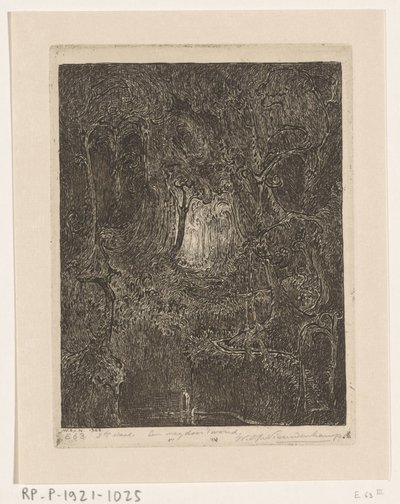 Giungla a Giava (Una strada attraverso la foresta) da Wijnand Otto Jan Nieuwenkamp (signed by artist)