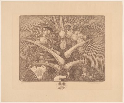 Cima di una palma da cocco da Wijnand Otto Jan Nieuwenkamp (signed by artist)