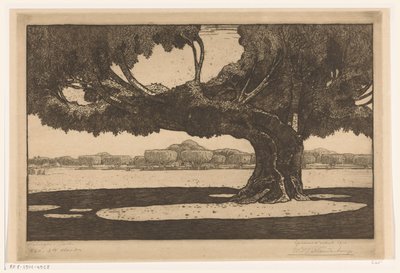 Alberi di waringin nel giardino del palazzo del sultano a Yogyakarta da Wijnand Otto Jan Nieuwenkamp (signed by artist)