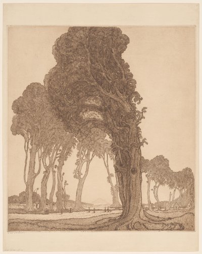 Parte della strada principale presso il villaggio di Cakranegara (Tjakranegara) a Lombok da Wijnand Otto Jan Nieuwenkamp