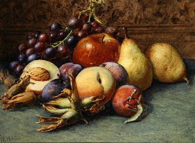 Natura morta di frutta da Wilberforce Haddon