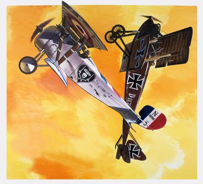 Francese combattente, da "Into the Blue" (gouache su carta) da Wilf (20th century) Hardy