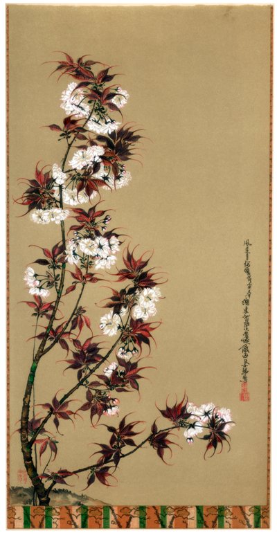 I fiori di ciliegio di Mikawa da Wilhelm Greve
