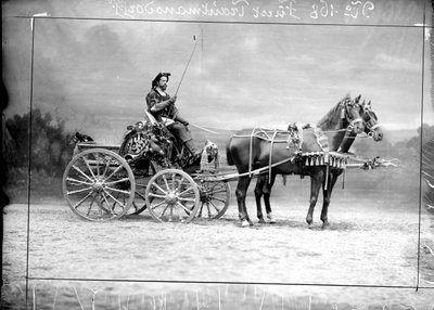 Carlo principe di Trauttmansdorff-Weinsberg durante la guida di una carrozza da Wilhelm J. Burger