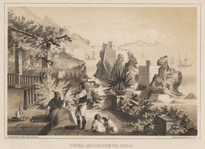 Funchal, Madeira, dal Curral, 1885 da Wilhelm Joseph Heine