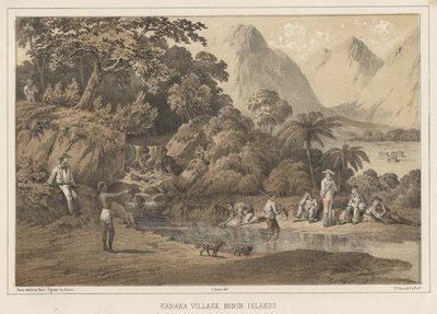 Villaggio Kanaka, Isole Bonin, 1855 da Wilhelm Joseph Heine
