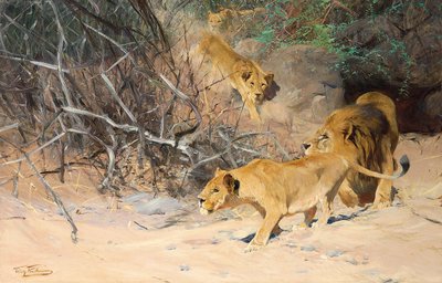 Un branco di leoni in agguato da Wilhelm Kuhnert