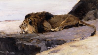 Un leone a riposo; Ruhender Lowe da Wilhelm Kuhnert