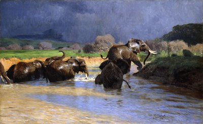 Elefanti che si bagnano da Wilhelm Kuhnert