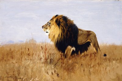 Leone in Attesa della Preda da Wilhelm Kuhnert