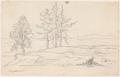 Paesaggio svedese da Wilhelm Marstrand