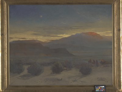 Deserto del Wyoming da Wilhelm Riess