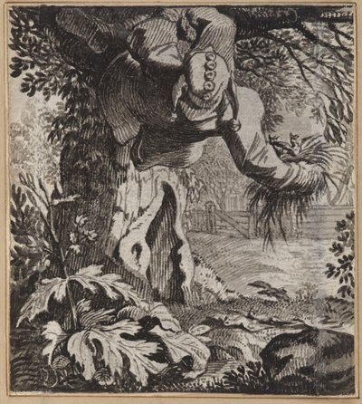 Il Matto Audace da Wilhelm Stettler