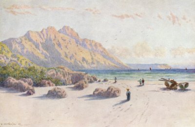 Chapman