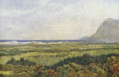 Valle di Constantia e False Bay, con Cape Point da Wilhelm Westhofen